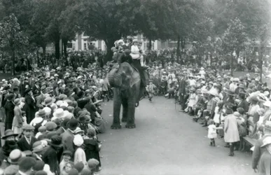 Foule de visiteurs regardant une promenade à dos d